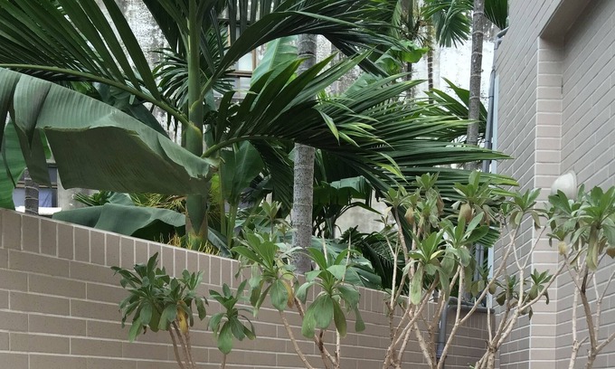 Chaozhou Casa | Summerle No 11 Hostel
