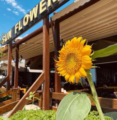 Side Apartamento | Sun Flower Apart Hotel