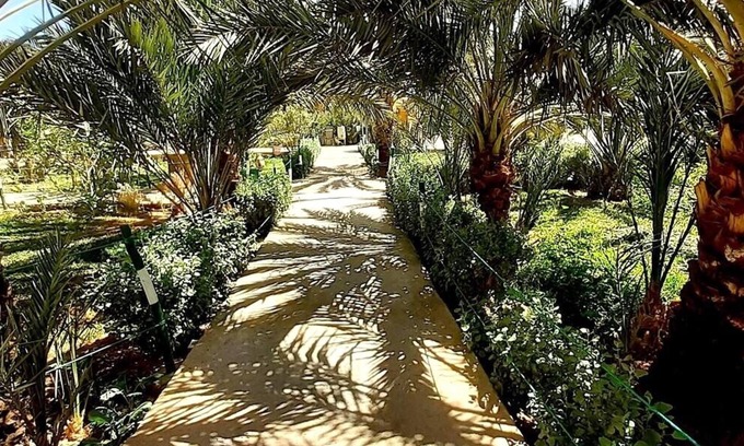 Aarab Sebbah Ziz Cabina | Sun Palmeraie