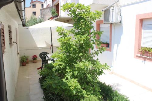 Vintijan Apartamento | Sunce