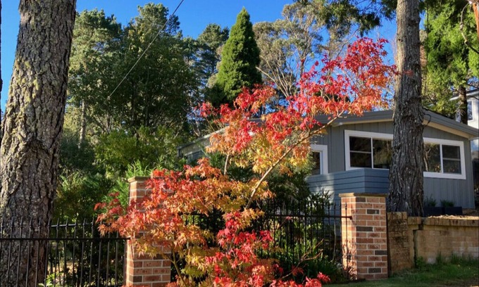 Wentworth Falls Cabina | Sunflower House, a cozy cabin at Lake Wentworth