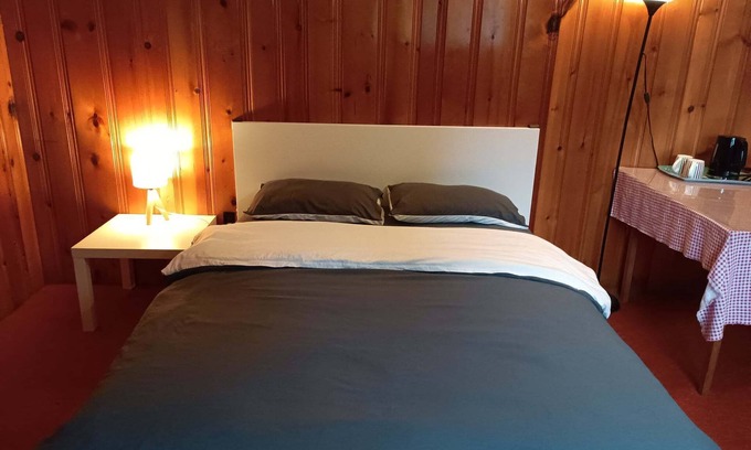 New Westminster Casa | Sunny Big Basement Room with shared bathroom