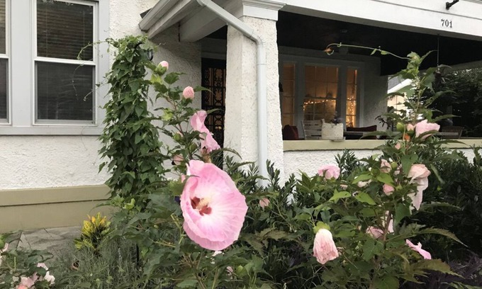 Murfreesboro Apartamento | Sunny Blue Bungalow near Nashville in Historic Downtown Murfreesboro