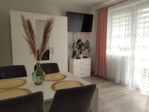 Lodz Apartamento | Sunny Boat Apartment