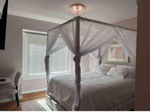 Cleveland Casa | Sunny Lavender Canopy Retreat