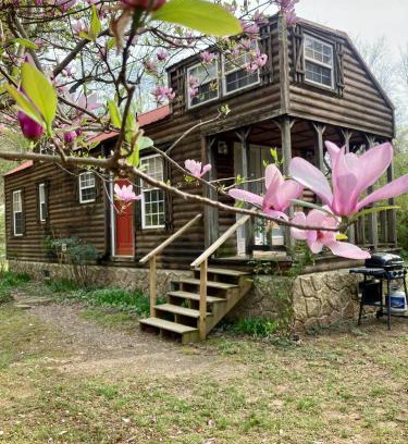 Mena Casa | Sunnybrook Cabin, wooded, private with stream, near ATV trails
