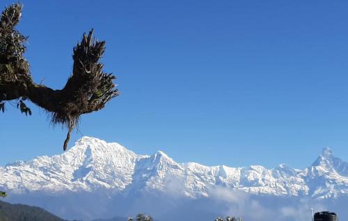 Gandaki Zone Casa | Sunset Homestay