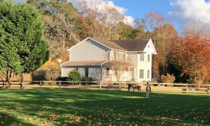 Chincoteague Casa | Sunset in Sunnywood: A peaceful retreat with a PRIVATE POOL!