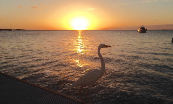 Key Largo Condominio | "Sunset Serenity" Reserve ahora para sus vacaciones de verano! Vista de la bahía desde el balcón!