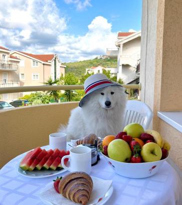 Topla Apartamento | Sunshine house