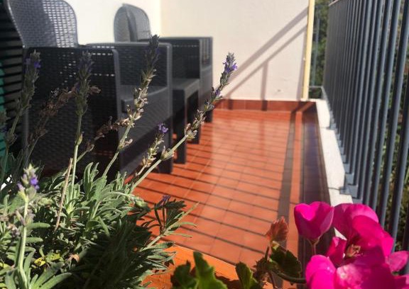 Gaula Casa | Sunshine Room