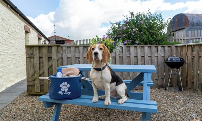Crymych Casa | Super dog friendly barn conversion - sleeps 6 plus unlimited dogs