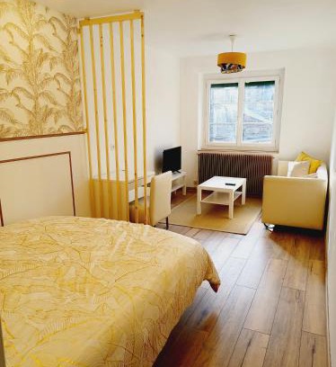 Crepy-en-Valois Apartamento | Superbe Appartement en plein centre-ville de Crépy