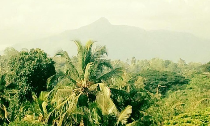 Peradeniya Casa | Sura Homestay Kandy