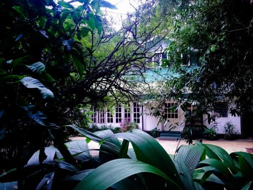 Welimada Complejo | Surrey Bird Sanctuary & Holiday Resort