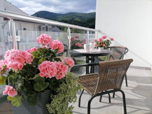Banja Koviljaca Apartamento | SvjetlanAlex 2