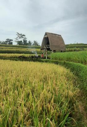 Sebatu Otro | Swaha Retreat & Eco Park Ubud