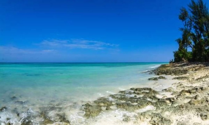 Wete Cabina | Swahili Divers & Gecko Nature Lodge