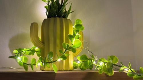 Ejipura Apartamento | Swarga Fireflies Ranger