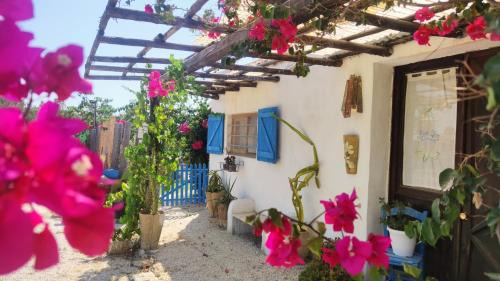 San Leonardo Casa | Sweet Old House