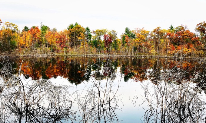 Plainfield Cabina | Swimming,boat,kayak,fish,BBQ,ATV,hike,Huge Deck,pets,Nordic MT- ski,tube,private