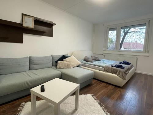Gyor Apartamento | Sz43 Apartman free Parking