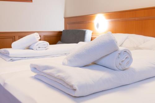 Pecs Hotel | Szinbád Hotel