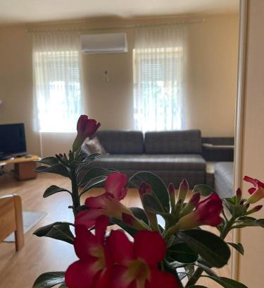 Szeged Apartamento | Tápé