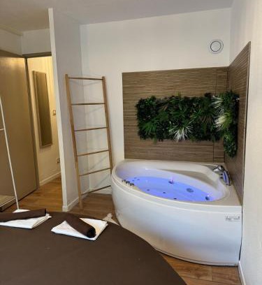 Tournefeuille Apartamento | T2, Balneo, sauna, lit rond, jeux arcades, parking