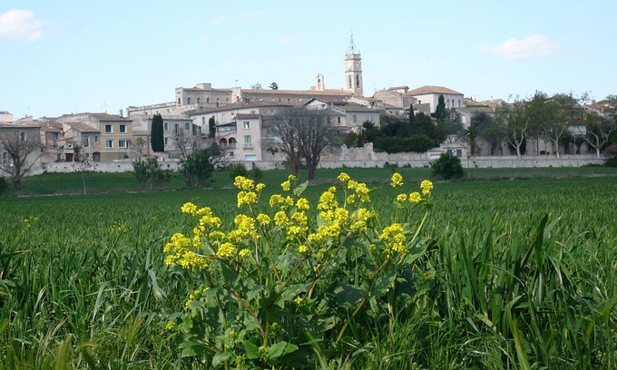 Saint-Genies-des-Mourgues Apartamento | T2 en el campo en un pueblo cerca de la costa