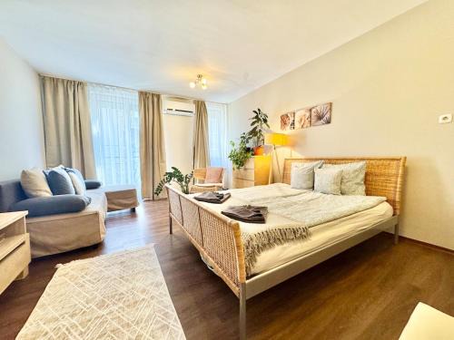 Csarnok negyed Apartamento | T27 Apartment Free Parking