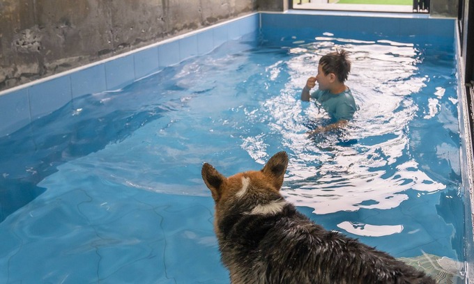 Chogaesan Casa | Taean Aloha Oe Pet Pool Villa