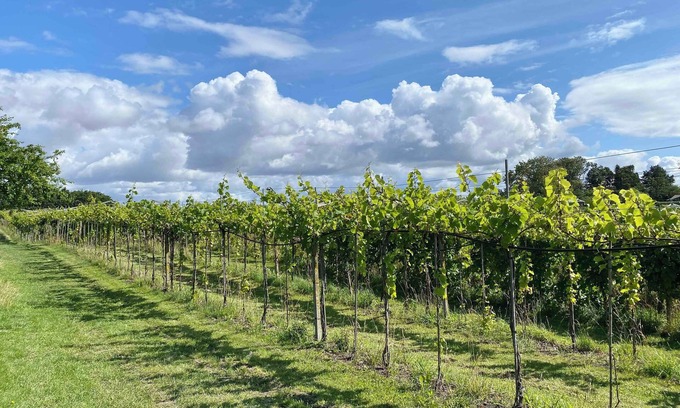 Karrebksminde Casa | talian charm at VINEYARD near Karrebæksminde