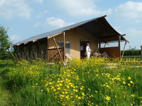 Glastonbury Cabina | Tall Trees Glamping