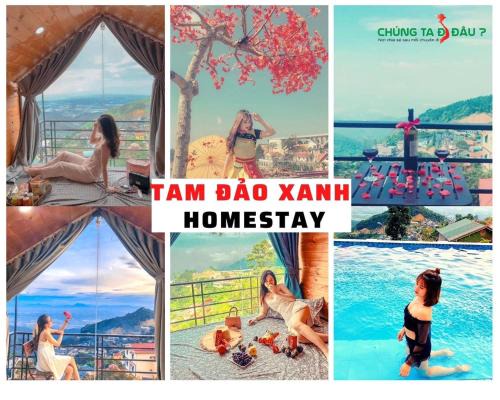 Tam Dao Casa | Tam Đảo Xanh Homestay - Venue Travel