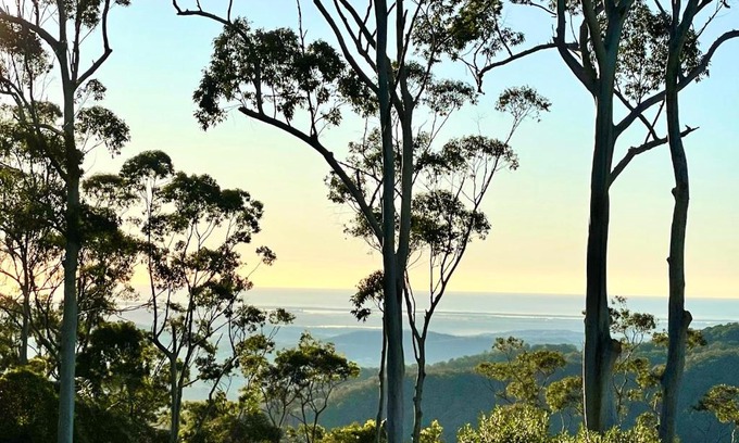 Mount Tamborine Apartamento | Tamborine Mountain Lodge