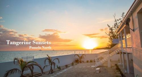 Adelaide Casa | Tangerine Sunsets Pomelo North