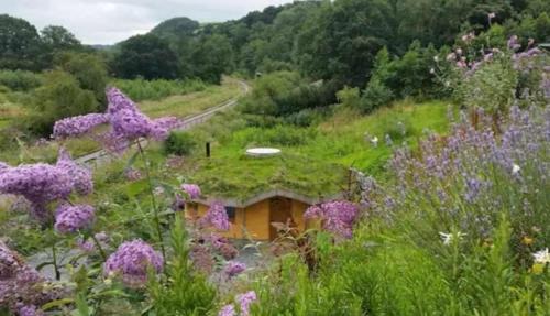 Bronwydd Casa | Tara vegetarian retreat guesthouse