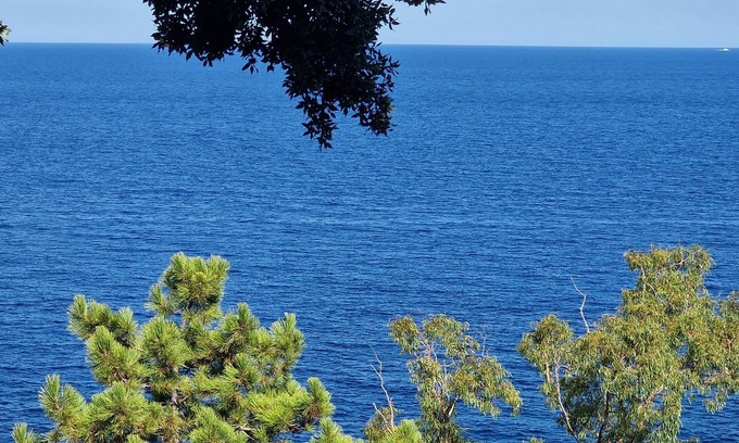 Tarcu Apartamento | Tarco 5MN MER