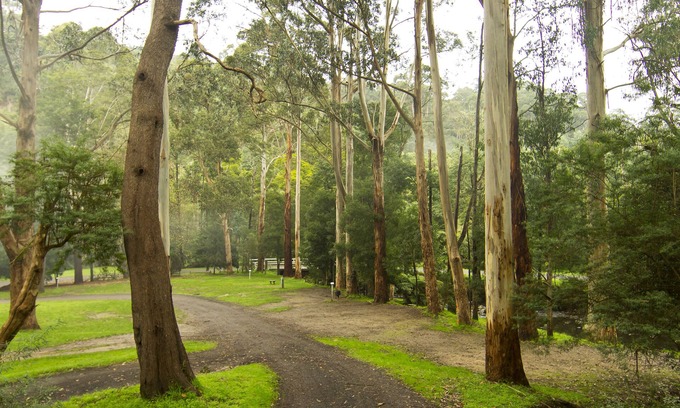 Tarra Valley Cabina | Tarra Valley Retreat