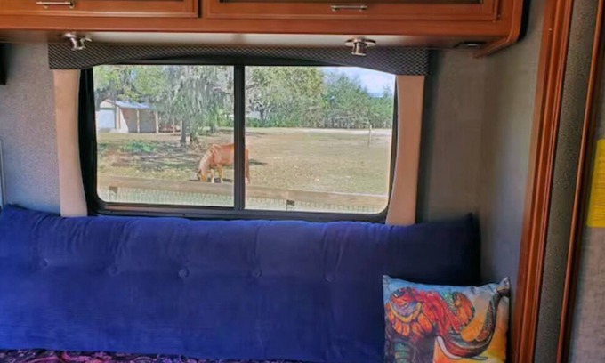 Lecanto Casa | Taste of Tiny Living in Pet Friendly Paradise