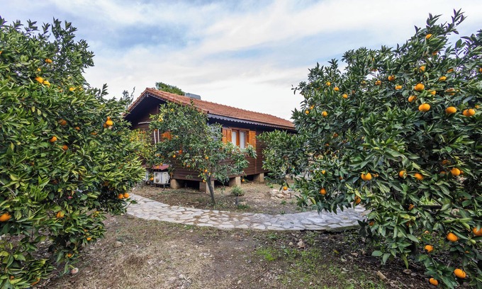 Cirali Casa | tatil evi dilek çıralı türkiye
