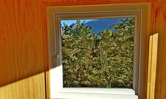 Melipeuco Apartamento | Parque Conguillio Casa 1 persona en árbol