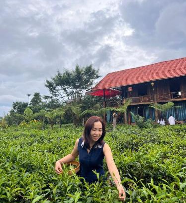 Bao Loc Cabina | Tea Garden House