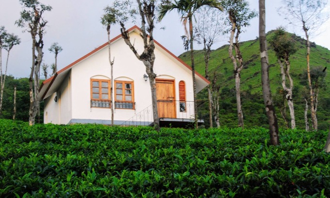 Vayittiri Complejo | Tea Terrace Vythiri Resort