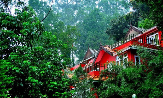 Pallivasal Complejo | Tea Valley Resort, Munnar