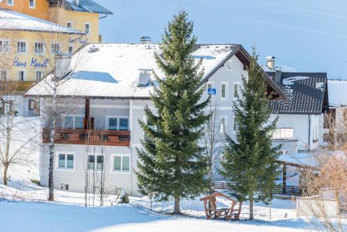 Lackenhof Apartamento | Teichwiesn Alm Wilde Wunder Card