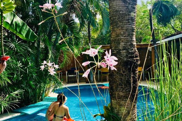 Tamarindo Hotel | Ten North Tamarindo Beach Hotel
