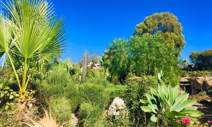 La Escalona Casa | "Tenerife Nature Retreat"