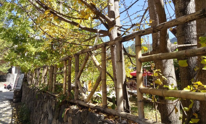 Tengchong Casa | Tengchong Ginkgo Village Bencai Hotel